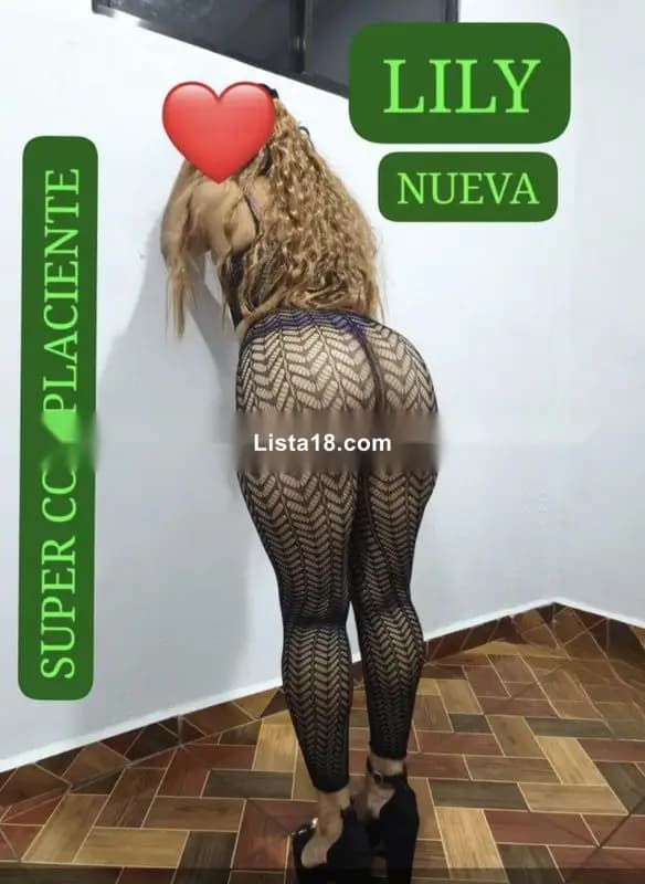 NUEVA NUEVA NUEVA FULL ANAL LILY ,Y CHICA DULCE SUPER COMPLACIENTES - 1